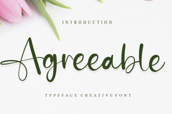 Agreeable: A Script Font That Balances Elegance and Modernity