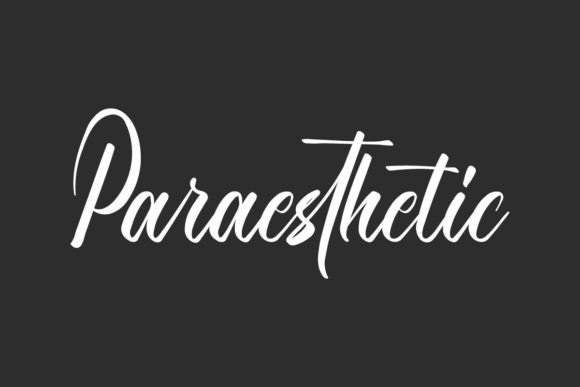 Paraesthetic: A Calligraphy Script Font That Feels Like a Petal in the Wind