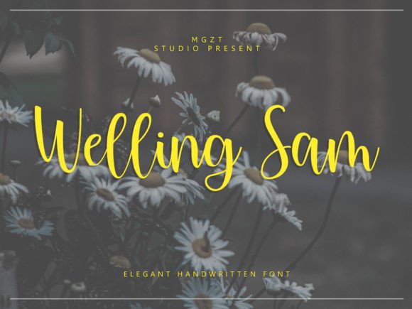 Welling Sam: A Script Font for Timeless Design